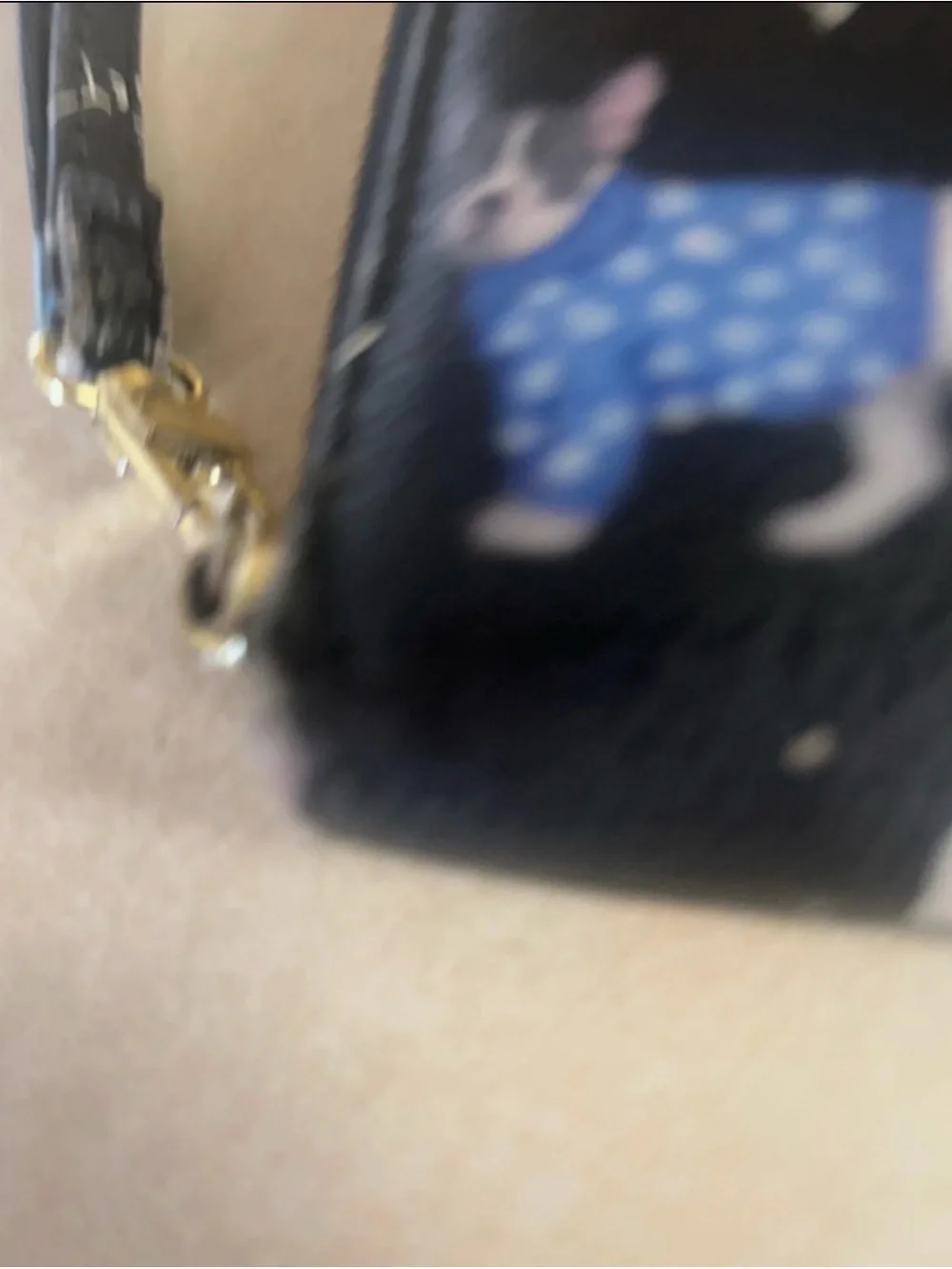 Betsey Johnson French Bulldog Zip Around Wristlet Wallet Black
